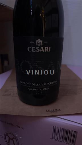 Vénétie Amarone della Valpolicella Cesari Bosan 2015