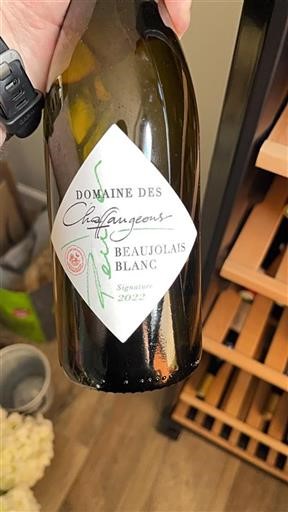 Beaujolais Nespecifikováno Domaine Des Chaffangeons Signature 2022