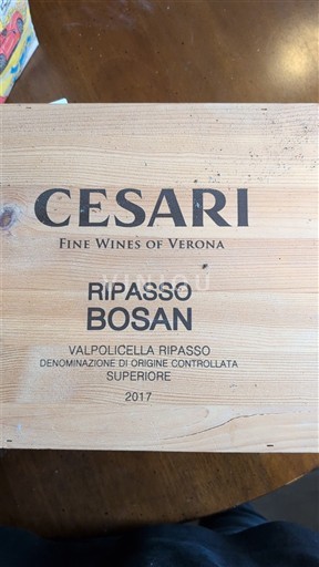 Wines of Veneto Unspecified Cesari Ripasso Bosan 2017
