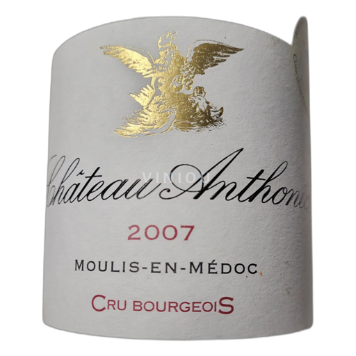 Bordeaux Moulis-en-Médoc Château Anthonic 2007