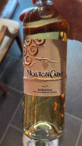 Bordeaux Mouton Cadet Senza annata