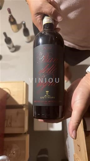 Toscana Brunello di Montalcino Antinori Pian delle Vigne 2015