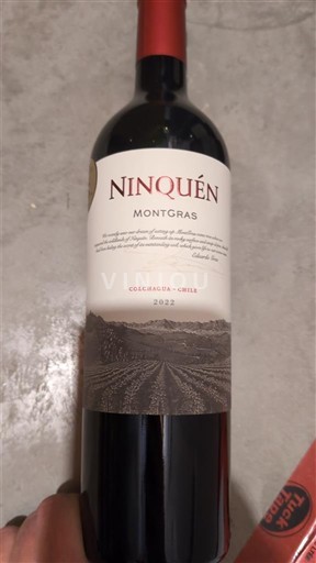 Dolina Rapel Dolina Colchagua MontGras Ninquén 2022