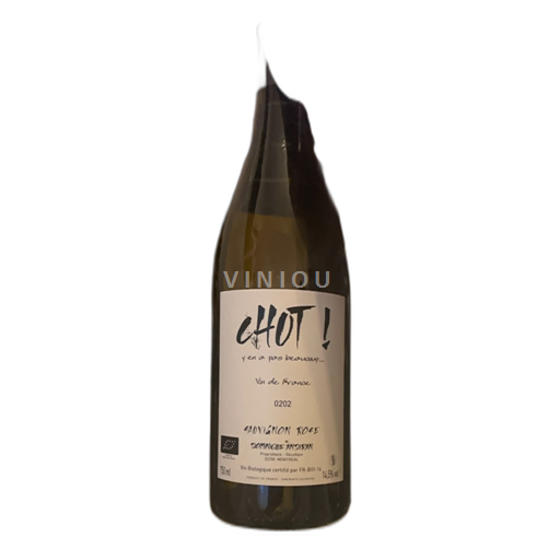 Sydväst Sudvästra Frankrike Dominique Andiran Chut 2020