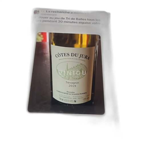 Jura Côtes-du-jura Christophe & Yoann Perrin Savagnin 2019