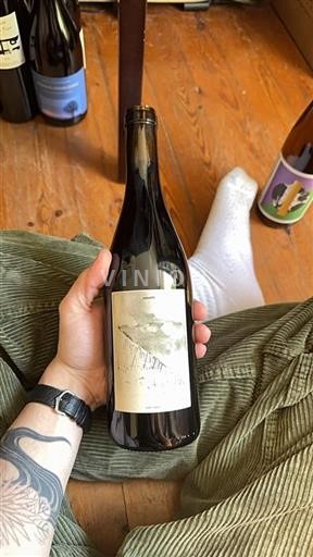 Thung lũng sông Loire Côtes-d'auvergne Henri Chauvet Abrupts 2023