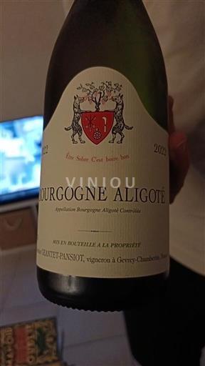 Burgundi Bourgogne Aligoté Domaine Geantet-Pansiot 2022