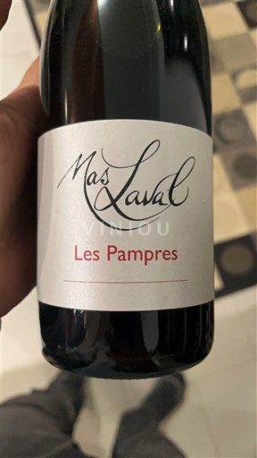 Лангедок Терасе ду Ларзак Mas Laval Les Pampres Non Millésimé