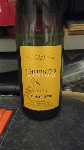 Alsace J. Hubster 2023