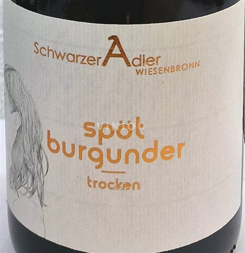 Franconia Adler Weißenbronn Test Adler - Späburgunder 2021 2021