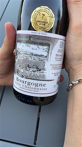 Borgogna Borgogna-Costa-Chalonnais Domaine Michel Goubard et Fils Mont Avril 2023