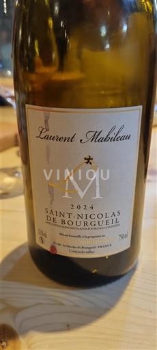 Lugina e Luarës Shën Nikolla i Burgelit Laurent Mabileau 2024