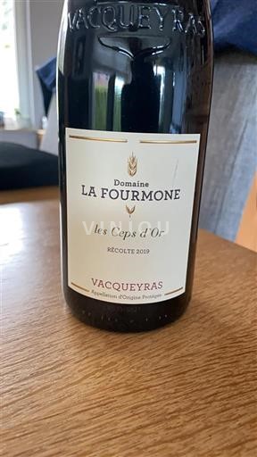 Valle del Rodano Vacqueyras La Fourmone les Ceps d'Or 2019