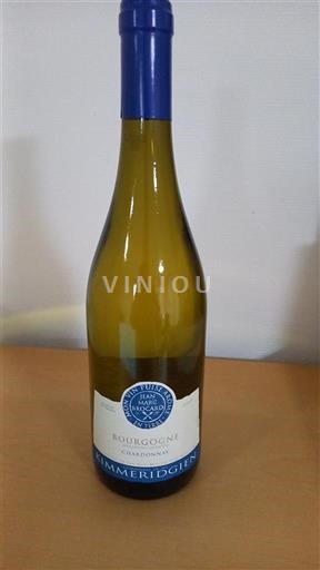 Burgundi Bourgogne Chardonnay Jean-Luc Joillot Kimmeridgien 2023