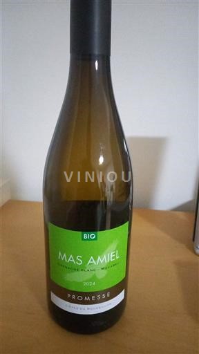 Languedoc và Roussillon Côtes Catalanes Mas Amiel Promesse 2024