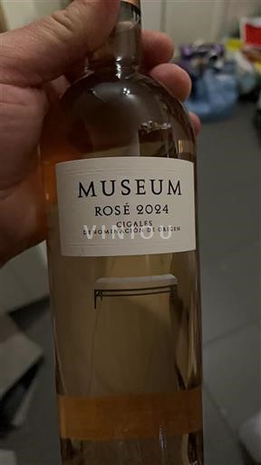 Castille và León Cigales Museum 2024