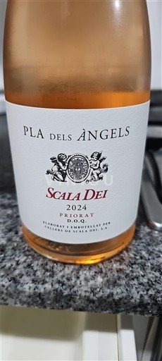 Katalonien Priorat Scala Dei Pla dels Àngels 2024