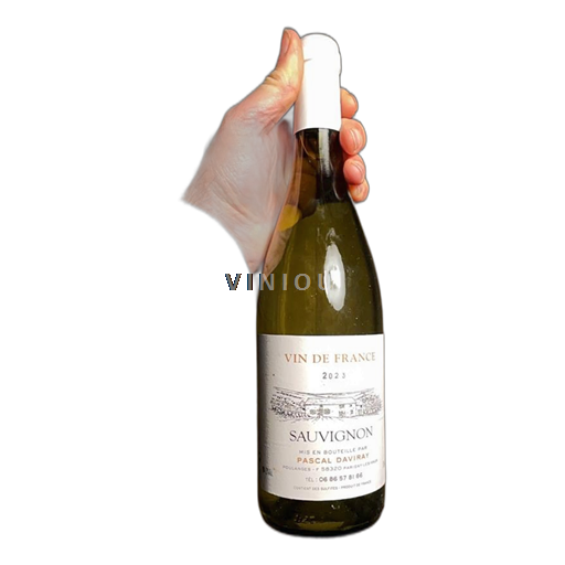 Burgundi Bourgogne Pascal Daviray 2023