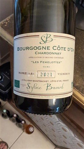 Burgundy Burgundy Côte d'Or Sylvie Bavard Les Femelottes 2021