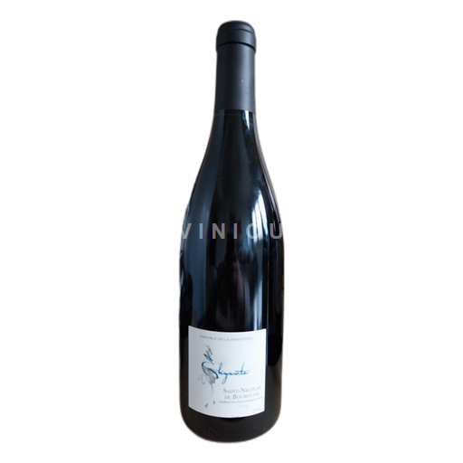 Loirevallei Saint-Nicolas-De-Bourgueil Vignoble de la Jarnoterie Élégante Niet-geïntegreerd