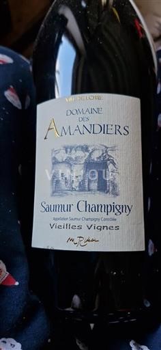 Vallée de la Loire Saumur-champigny Domaine des Amandiers Vieilles Vignes Non Millésimé