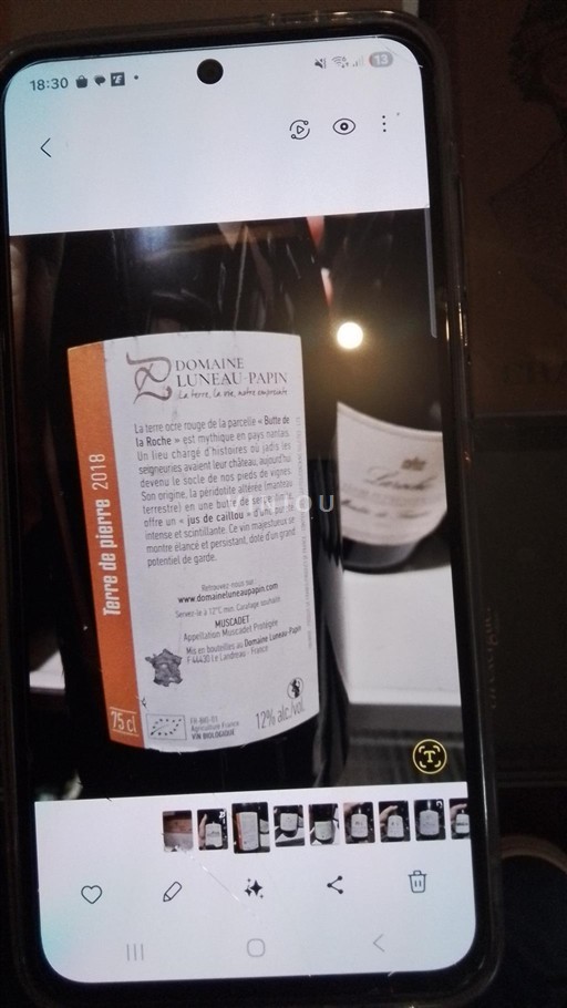 Loire-dalen Muscadet-Sèvre-et-Maine Domaine Luneau-Papin Terre de Pierre 2018