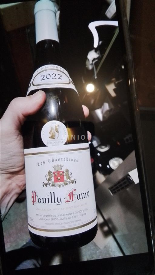 Údolí Loiry Pouilly-fumé J. Pabiot et Fils Les Chantebines 2022