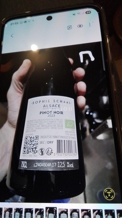Alsacia Grand Cru Sophie Schaal Pinot Noir 2023