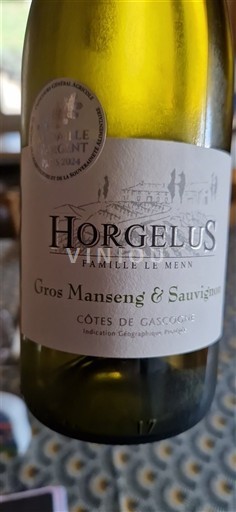 Sudoeste Côtes de Gascogne Domaine Horgelus Gros-Manseng & Sauvignon 2023