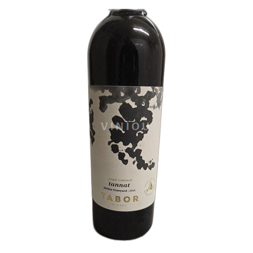 Galileja TABOR 2016 2016