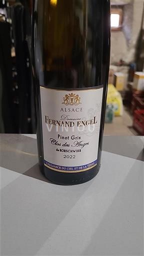 Alsace Pinot xám Fernand Engel Clos des Anges 2022