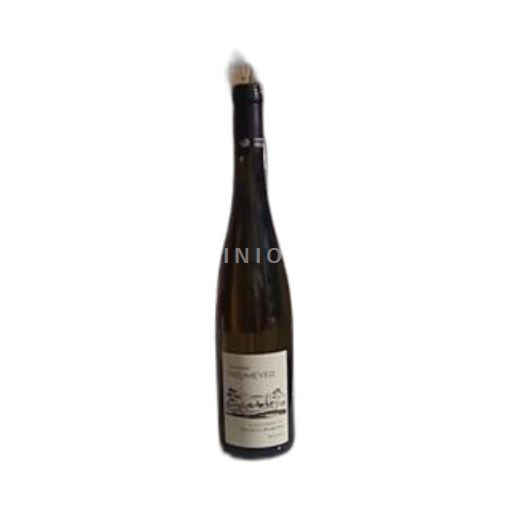 Alsacia Alsacia Gran Cru Grand Cru Domaine Neumeyer Grand Cru Bruderthal 2021
