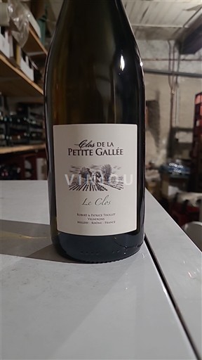 Lyonnais Coteaux du Lyonnais Clos de la Petite Gallée Le Clos 2023