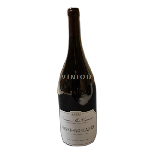 Bourgogne Vosne-romanée MEO-CAMUZET 2022