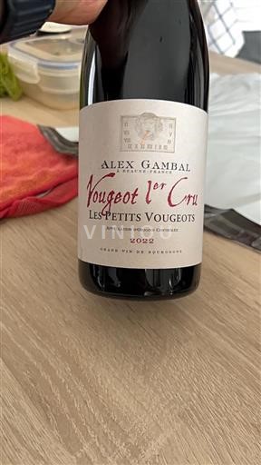 Borgoña No especificado Premier Cru Alex Gambal Les Petits Vougeots 2022