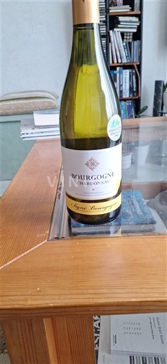 Burgundi Bourgogne Chardonnay Ange Bourgogne 2024