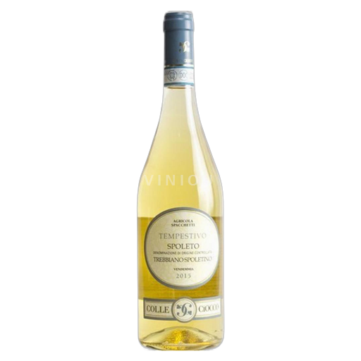 Umbría Montefalco COLLE CIOCCO - Trebbiano Spoletino - TEMPESTIVO 2022