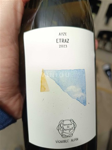 Alpen en Rhônevallei Vins des Allobroges Domaine Gringet Etraz 2023