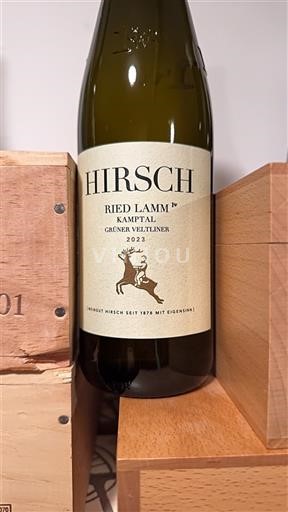 Viner Blanc sec Ried Lamm Hirsch 2023 Österrike Niederösterreich Kamptal DAC