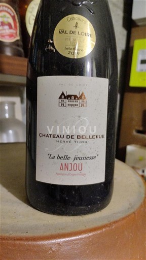 Vallée de la Loire Anjou Château Bellevue La belle jeunesse 2018