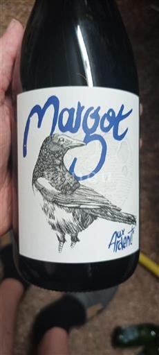 Beaujolais Määrittelemätön Aux Arcels Margot 2023