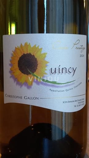 Vallée de la Loire Quincy Domaine Des Grands Ormes - Christophe Gallon Prestige 2024