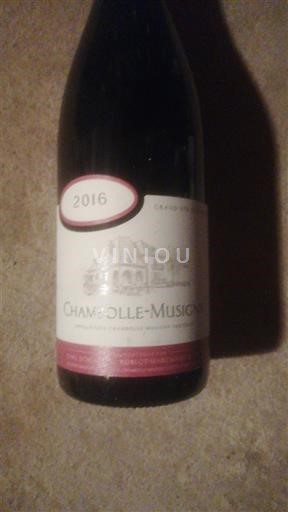 Borgoña Chambolle-Musigny Domaine Robot marchand 2016 2016