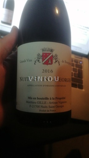 Borgoña Nuits-Saint-Georges Mathieu Gille 2016