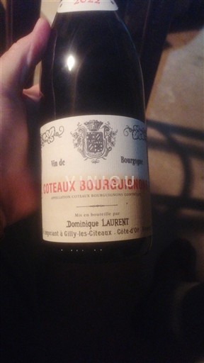 Bourgogne Bourgognebackar Domaine Dominique Laurent 2022