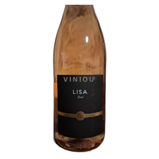 Beaujolais Beaujolais Villages Benoît Bissuel Lisa 2023