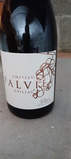 Sudoeste Gaillac Château Palvié 2022