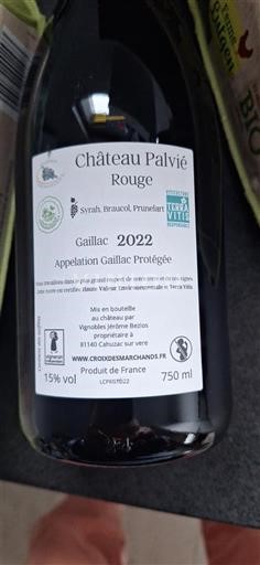 Sudoeste Gaillac Château Palvié 2022