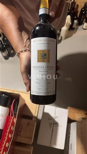 Piemonte Barbera d'Alba Silvio Grasso Fontanile 2020
