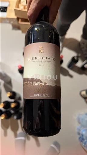 Toskánsko Bolgheri Tenuta Guado al Tasso Il Bruciato 2016